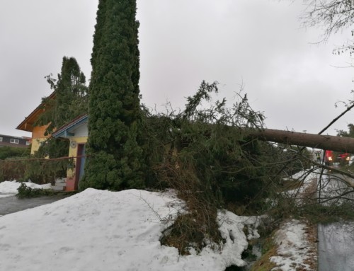 Baum auf Haus gestürzt Perlesöd