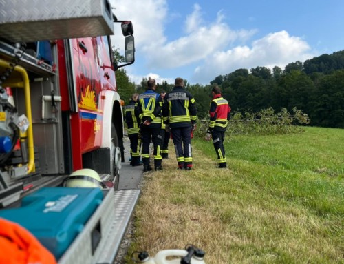 Baum auf Fahrbahn Grillaberg