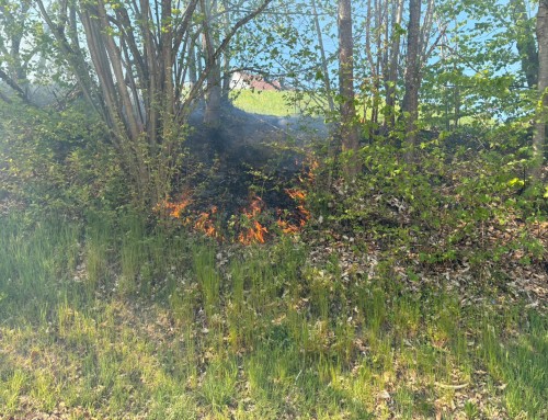 Brand Freifläche Schönbrunner Straße
