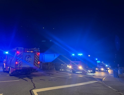 Zimmerbrand mit Person in Gefahr